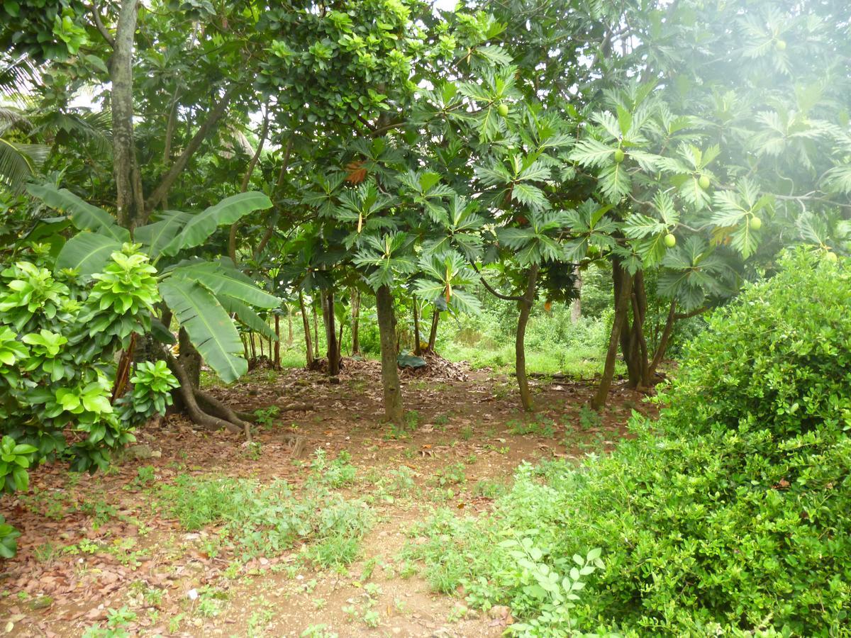 Posada Nativa Miss Casira San Andres  Luaran gambar